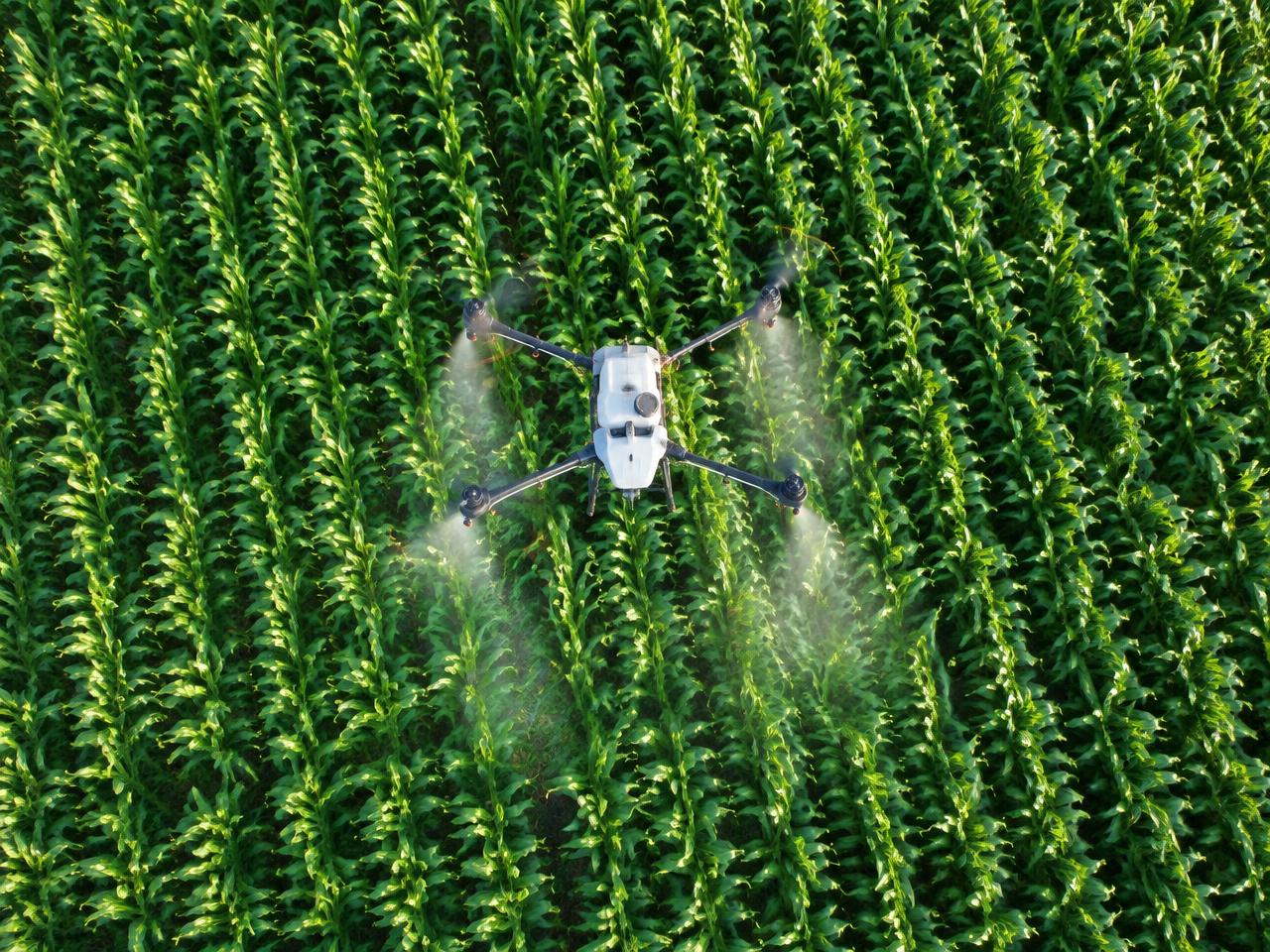 Weed control
